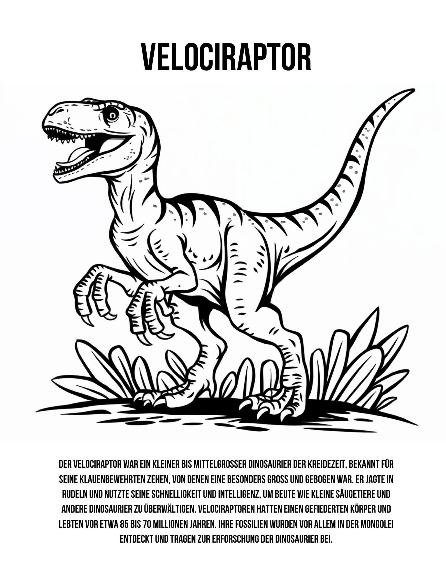 Velociraptor · Ausmalmotiv mit Infotext · Buchseite 7
