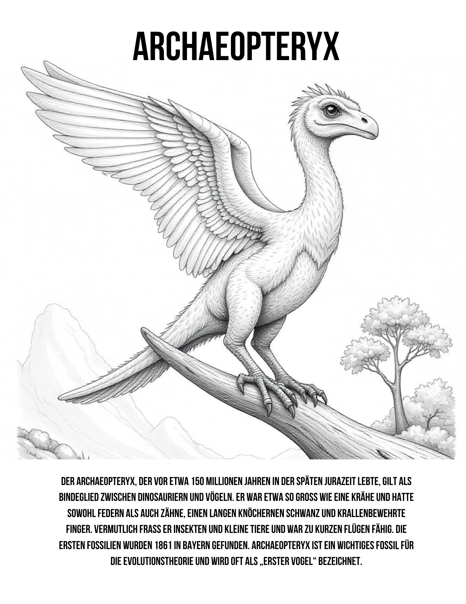 Archaeopteryx · Ausmalmotiv mit Infotext · Buchseite 11